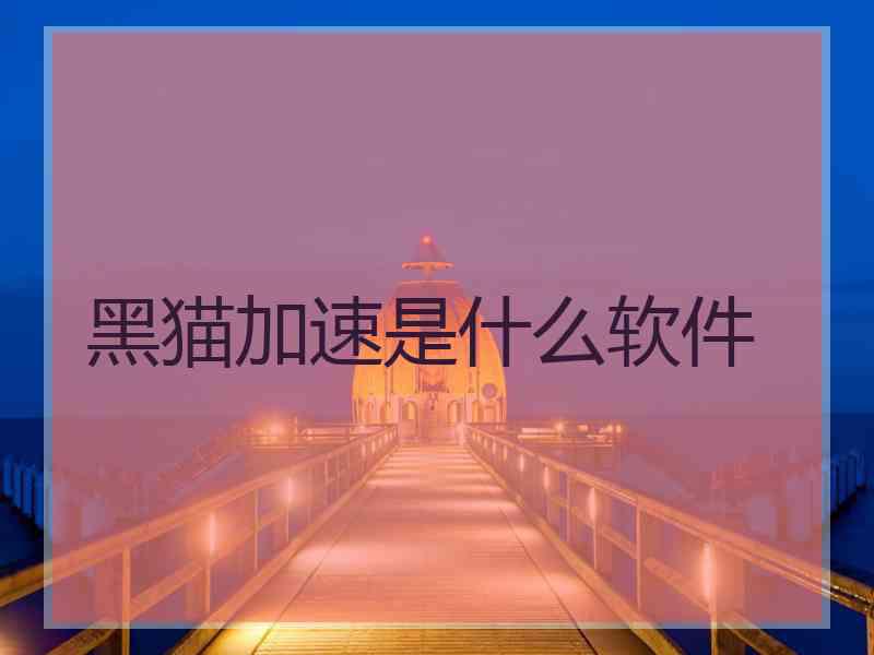 黑猫加速是什么软件