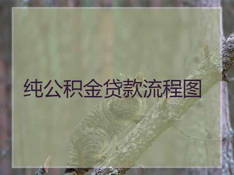 纯公积金贷款流程图