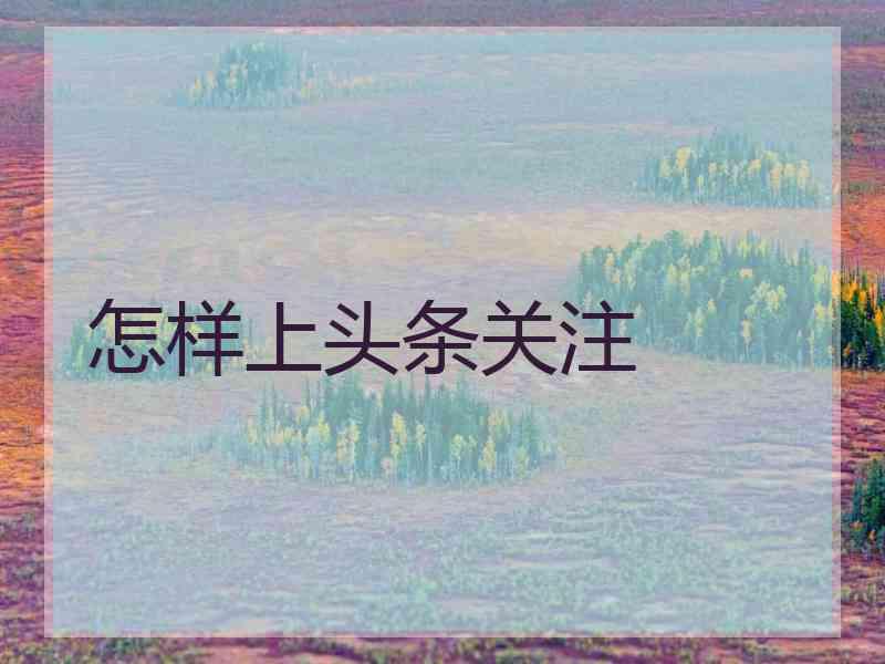怎样上头条关注