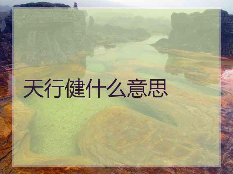 天行健什么意思