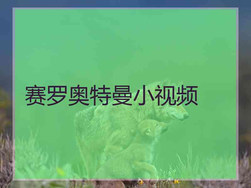 赛罗奥特曼小视频