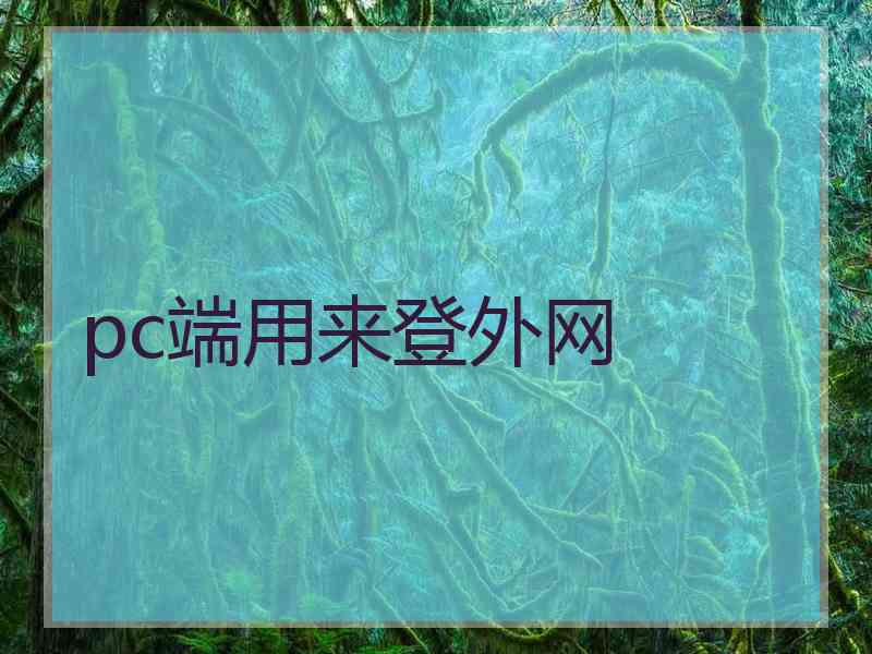 pc端用来登外网