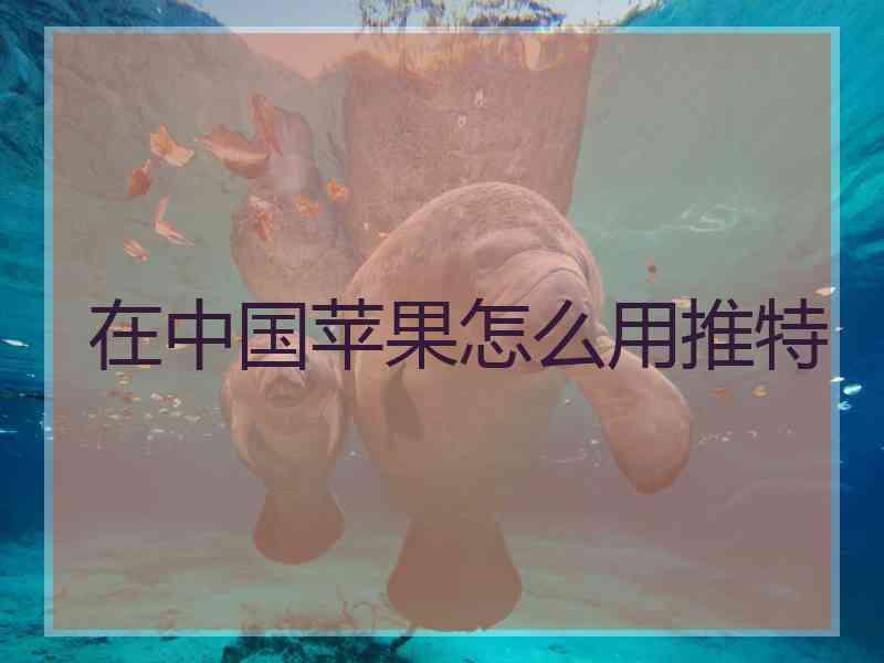 在中国苹果怎么用推特