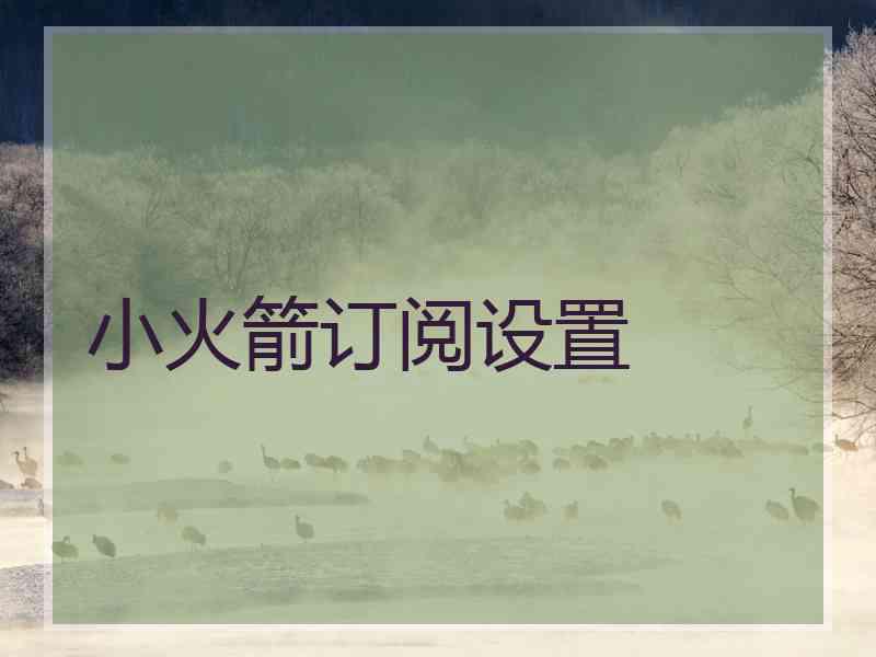 小火箭订阅设置