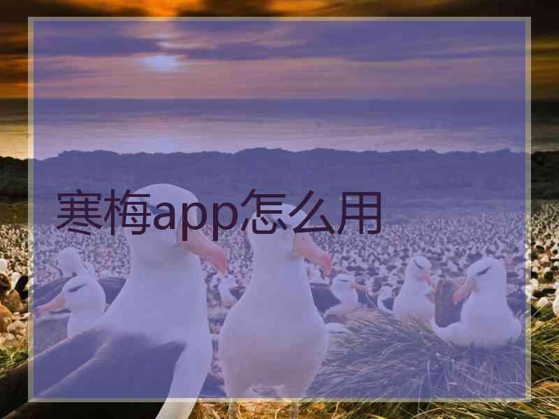 寒梅app怎么用