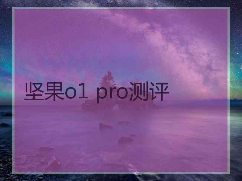 坚果o1 pro测评