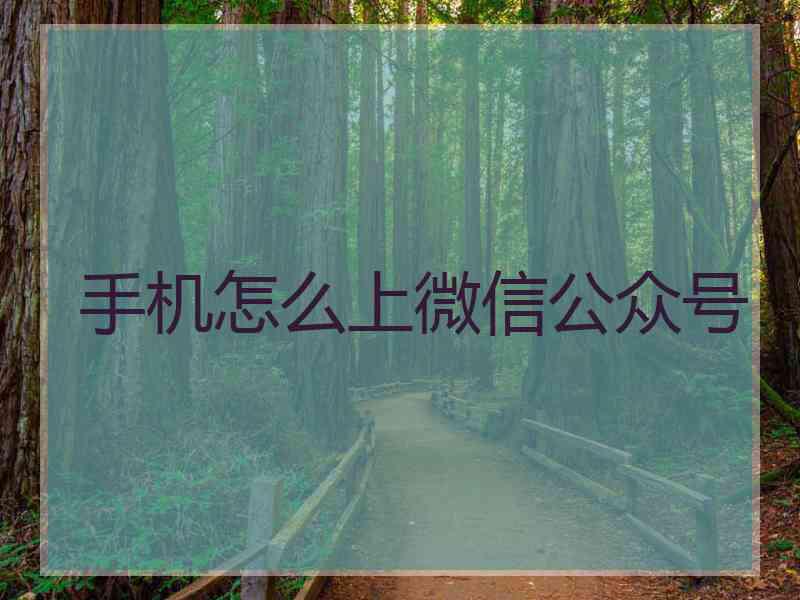 手机怎么上微信公众号