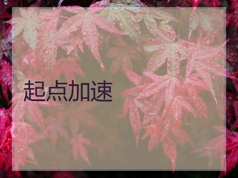 起点加速