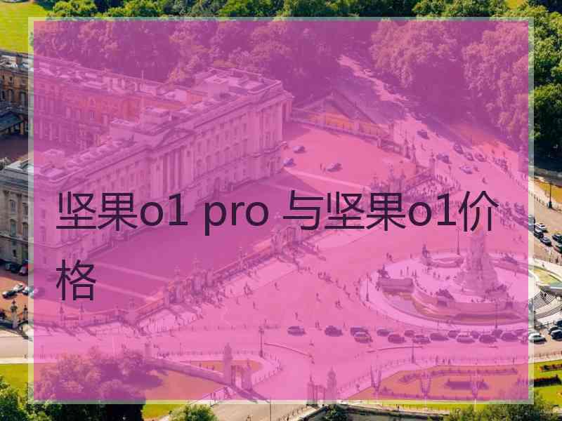 坚果o1 pro 与坚果o1价格