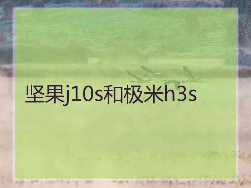 坚果j10s和极米h3s