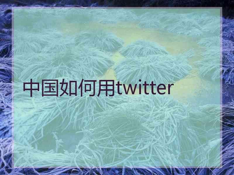 中国如何用twitter