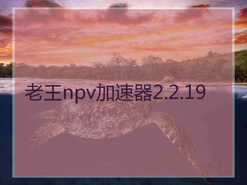 老王npv加速器2.2.19