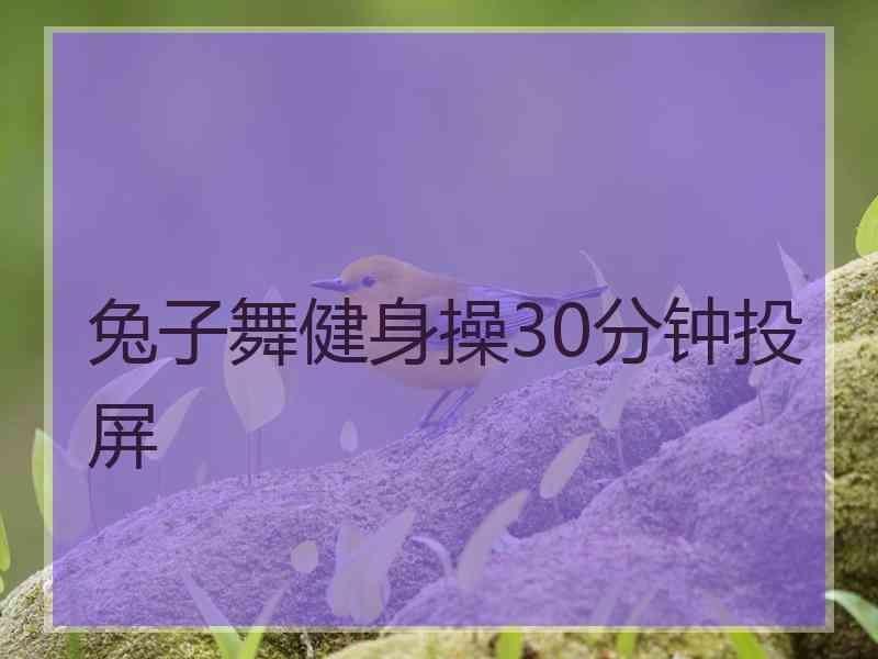 兔子舞健身操30分钟投屏