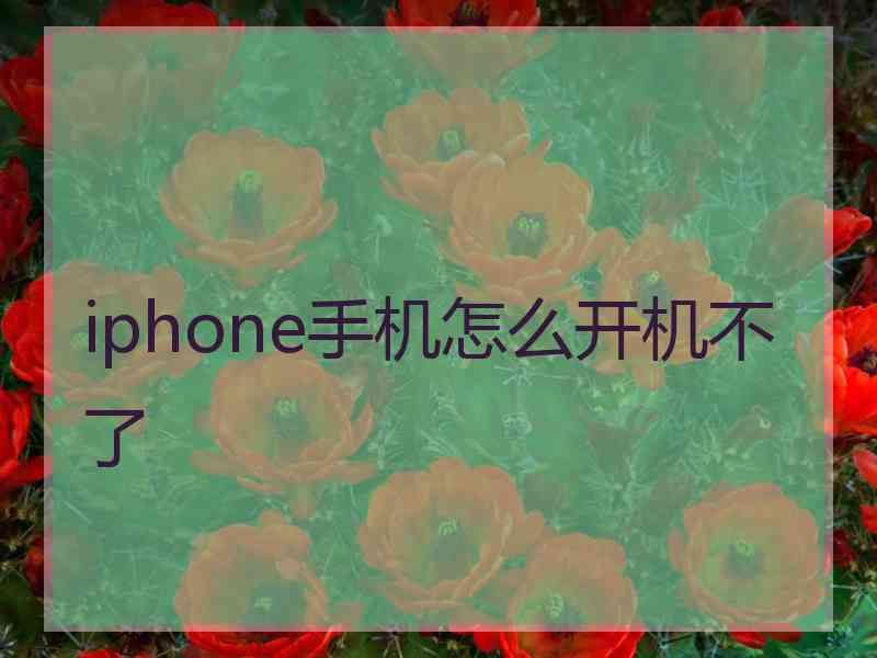 iphone手机怎么开机不了