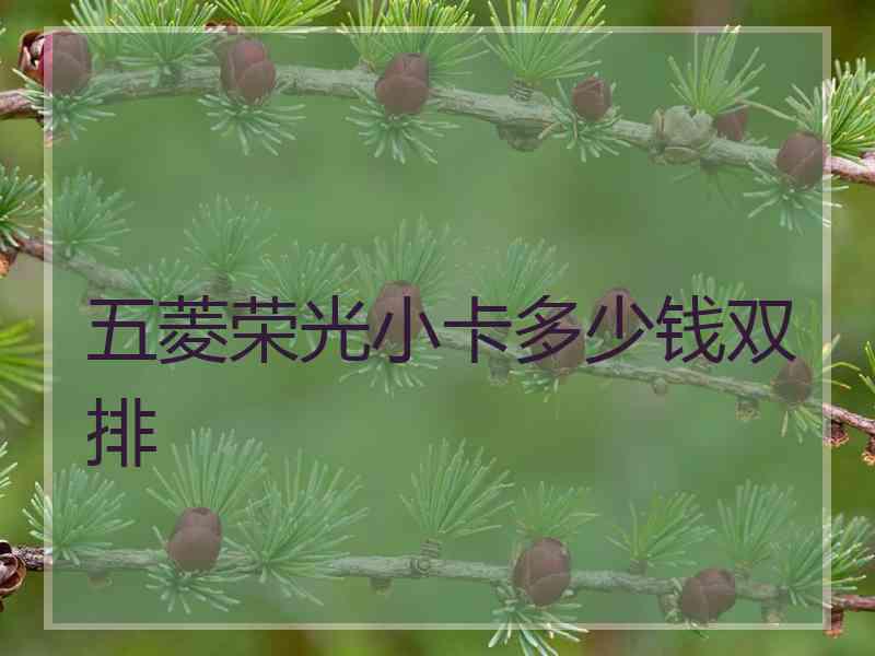 五菱荣光小卡多少钱双排
