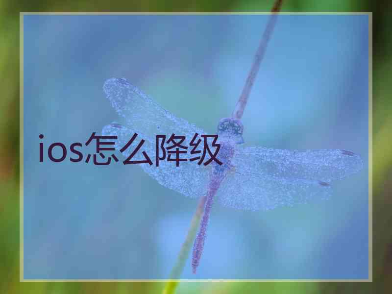 ios怎么降级