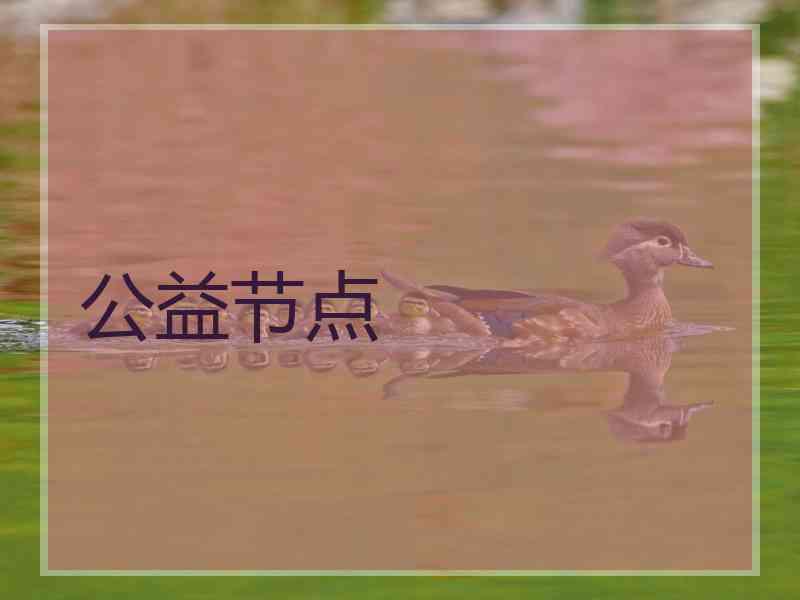公益节点